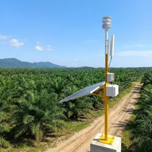 AWS Weather Sensor: Palm Oil Harvest Protection Case Study